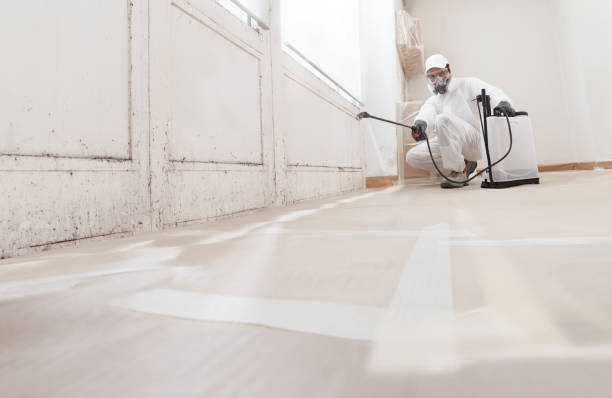 24/7 Emergency Mold Remediation experts in Hurst, TX